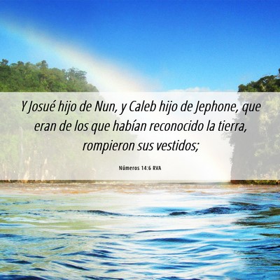 Picture 06 - Números 14:6 RVA - Y Josué hijo de Nun, y Caleb hijo de Jephone, - Bible Verse Picture