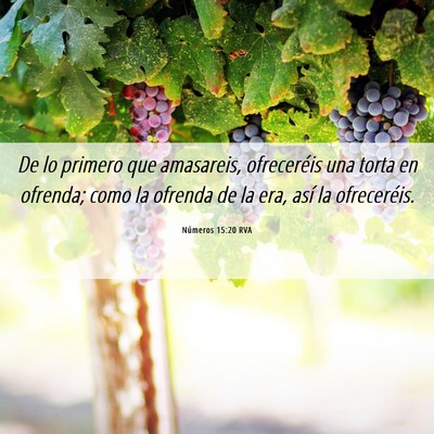 Picture 06 - Números 15:20 RVA - De lo primero que amasareis, ofreceréis una - Bible Verse Picture