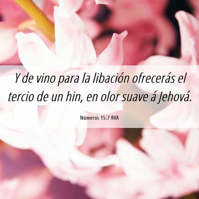 Picture 06 - Números 15:7 RVA - Y de vino para la libación ofrecerás el tercio - Bible Verse Picture