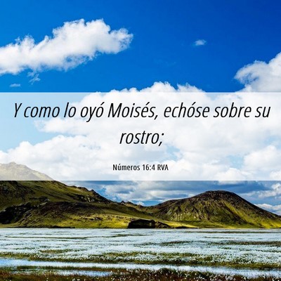 Picture 06 - Números 16:4 RVA - Y como lo oyó Moisés, echóse sobre su - Bible Verse Picture