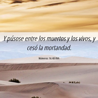 Picture 06 - Números 16:48 RVA - Y púsose entre los muertos y los vivos, y cesó - Bible Verse Picture
