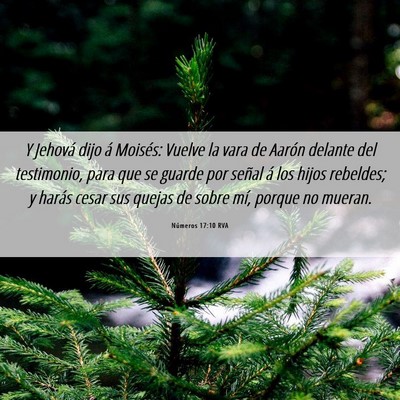 Picture 06 - Números 17:10 RVA - Y Jehová dijo á Moisés: Vuelve la vara de - Bible Verse Picture