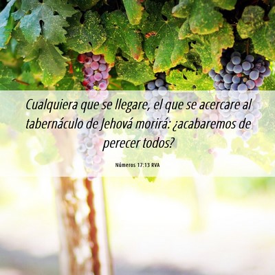 Picture 06 - Números 17:13 RVA - Cualquiera que se llegare, el que se acercare al - Bible Verse Picture