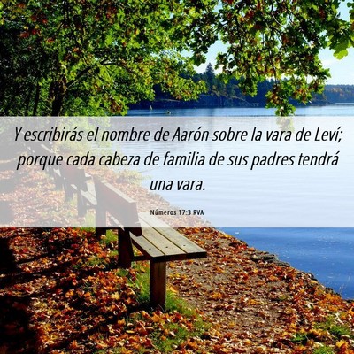 Picture 06 - Números 17:3 RVA - Y escribirás el nombre de Aarón sobre la vara - Bible Verse Picture