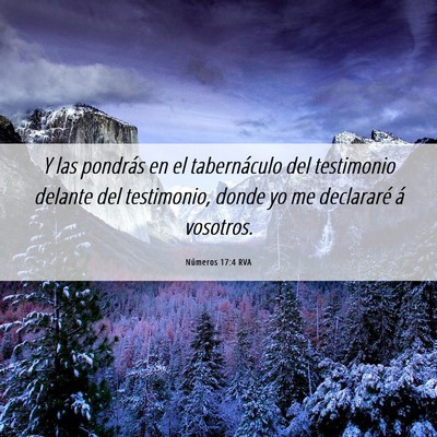 Picture 06 - Números 17:4 RVA - Y las pondrás en el tabernáculo del testimonio - Bible Verse Picture