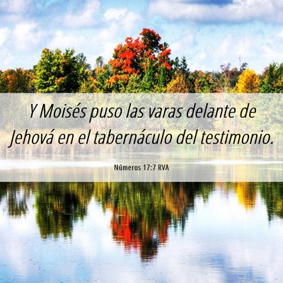 Picture 06 - Números 17:7 RVA - Y Moisés puso las varas delante de Jehová en el - Bible Verse Picture