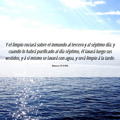 Picture 06 - Números 19:19 RVA - Y el limpio rociará sobre el inmundo al tercero - Bible Verse Picture