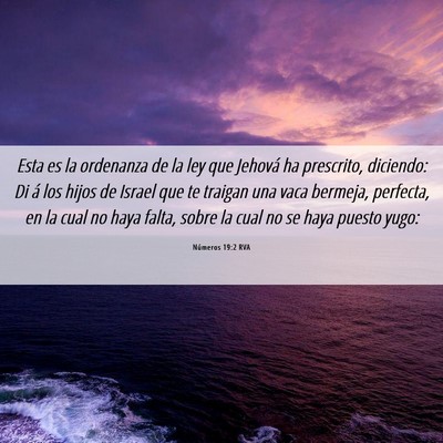 Picture 06 - Números 19:2 RVA - Esta es la ordenanza de la ley que Jehová ha - Bible Verse Picture