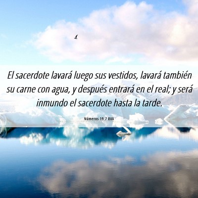 Picture 06 - Números 19:7 RVA - El sacerdote lavará luego sus vestidos, lavará - Bible Verse Picture