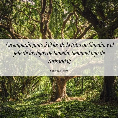 Picture 06 - Números 2:12 RVA - Y acamparán junto á él los de la tribu de - Bible Verse Picture