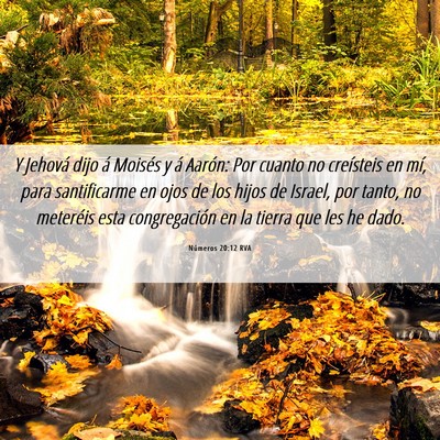 Picture 06 - Números 20:12 RVA - Y Jehová dijo á Moisés y á Aarón: Por cuanto - Bible Verse Picture