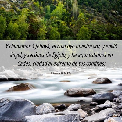 Picture 06 - Números 20:16 RVA - Y clamamos á Jehová, el cual oyó nuestra voz, - Bible Verse Picture