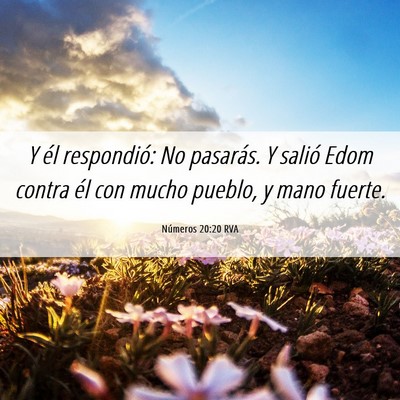 Picture 06 - Números 20:20 RVA - Y él respondió: No pasarás. Y salió Edom - Bible Verse Picture