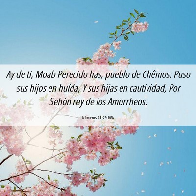 Picture 06 - Números 21:29 RVA - Ay de ti, Moab­ Perecido has, pueblo de Chêmos: - Bible Verse Picture