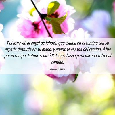 Picture 06 - Números 22:23 RVA - Y el asna vió al ángel de Jehová, que estaba - Bible Verse Picture