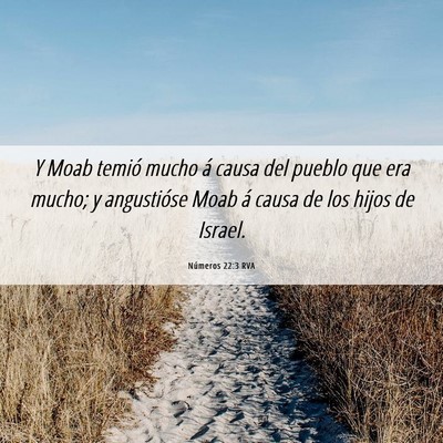 Picture 06 - Números 22:3 RVA - Y Moab temió mucho á causa del pueblo que era - Bible Verse Picture