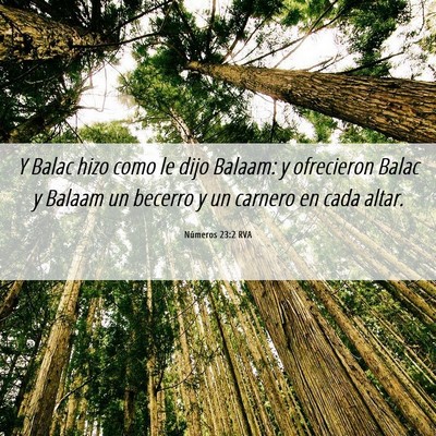Picture 06 - Números 23:2 RVA - Y Balac hizo como le dijo Balaam: y ofrecieron - Bible Verse Picture