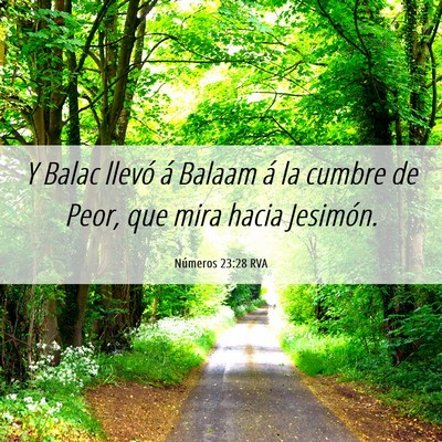 Picture 06 - Números 23:28 RVA - Y Balac llevó á Balaam á la cumbre de Peor, - Bible Verse Picture
