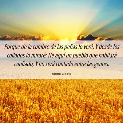 Picture 06 - Números 23:9 RVA - Porque de la cumbre de las peñas lo veré, Y - Bible Verse Picture