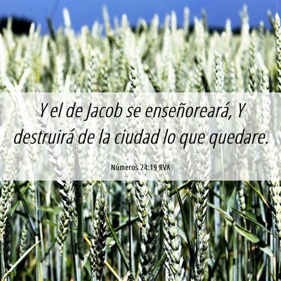 Picture 06 - Números 24:19 RVA - Y el de Jacob se enseñoreará, Y destruirá de - Bible Verse Picture