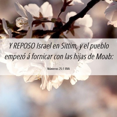 Picture 06 - Números 25:1 RVA - Y REPOSO Israel en Sittim, y el pueblo empezó á - Bible Verse Picture