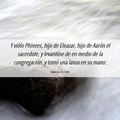 Picture 06 - Números 25:7 RVA - Y viólo Phinees, hijo de Eleazar, hijo de Aarón - Bible Verse Picture