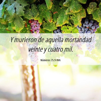 Picture 06 - Números 25:9 RVA - Y murieron de aquella mortandad veinte y cuatro - Bible Verse Picture