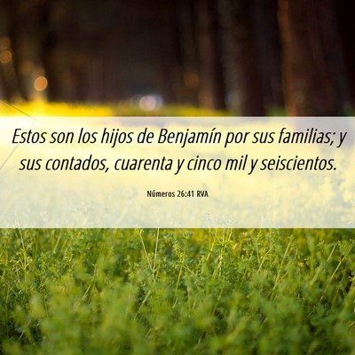 Picture 06 - Números 26:41 RVA - Estos son los hijos de Benjamín por sus - Bible Verse Picture
