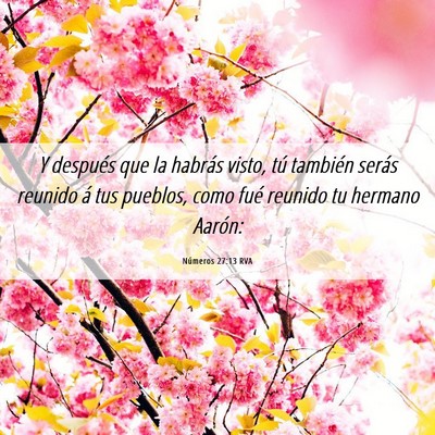 Picture 06 - Números 27:13 RVA - Y después que la habrás visto, tú también - Bible Verse Picture