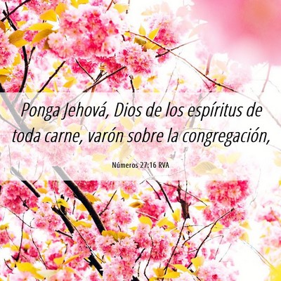 Picture 06 - Números 27:16 RVA - Ponga Jehová, Dios de los espíritus de toda - Bible Verse Picture