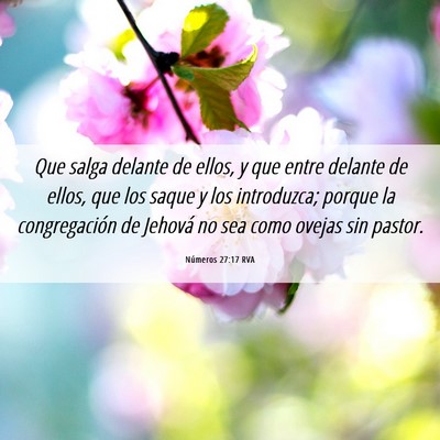 Picture 06 - Números 27:17 RVA - Que salga delante de ellos, y que entre delante - Bible Verse Picture