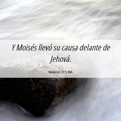 Picture 06 - Números 27:5 RVA - Y Moisés llevó su causa delante de - Bible Verse Picture