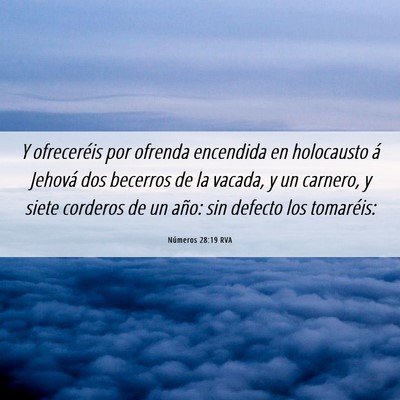 Picture 06 - Números 28:19 RVA - Y ofreceréis por ofrenda encendida en holocausto - Bible Verse Picture