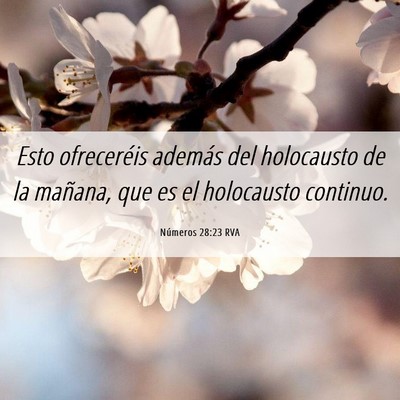 Picture 06 - Números 28:23 RVA - Esto ofreceréis además del holocausto de la - Bible Verse Picture