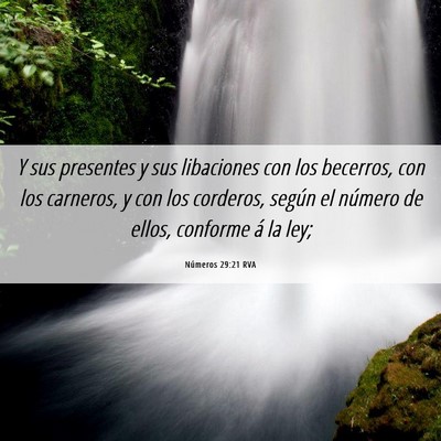 Picture 06 - Números 29:21 RVA - Y sus presentes y sus libaciones con los - Bible Verse Picture