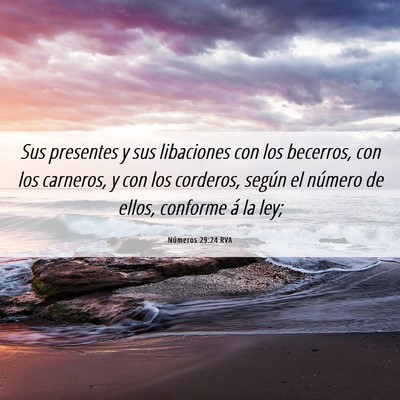 Picture 06 - Números 29:24 RVA - Sus presentes y sus libaciones con los becerros, - Bible Verse Picture