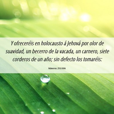 Picture 06 - Números 29:8 RVA - Y ofreceréis en holocausto á Jehová por olor - Bible Verse Picture