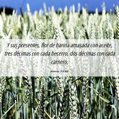 Picture 06 - Números 29:9 RVA - Y sus presentes, flor de harina amasada con - Bible Verse Picture