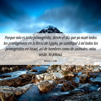 Picture 06 - Números 3:13 RVA - Porque mío es todo primogénito; desde el día - Bible Verse Picture