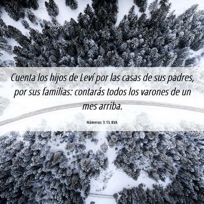 Picture 06 - Números 3:15 RVA - Cuenta los hijos de Leví por las casas de sus - Bible Verse Picture
