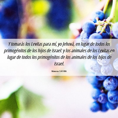 Picture 06 - Números 3:41 RVA - Y tomarás los Levitas para mí, yo Jehová, en - Bible Verse Picture