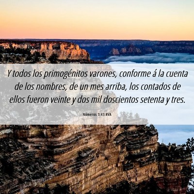 Picture 06 - Números 3:43 RVA - Y todos los primogénitos varones, conforme á la - Bible Verse Picture