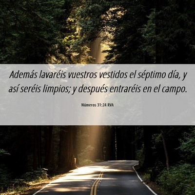 Picture 06 - Números 31:24 RVA - Además lavaréis vuestros vestidos el séptimo - Bible Verse Picture
