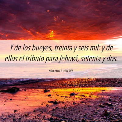 Picture 06 - Números 31:38 RVA - Y de los bueyes, treinta y seis mil: y de ellos - Bible Verse Picture