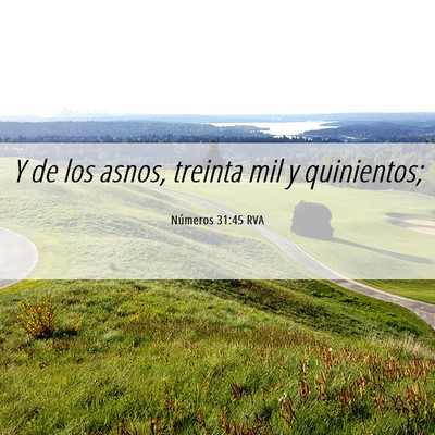Picture 06 - Números 31:45 RVA - Y de los asnos, treinta mil y - Bible Verse Picture