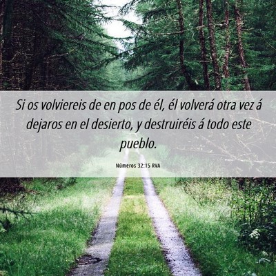 Picture 06 - Números 32:15 RVA - Si os volviereis de en pos de él, él volverá - Bible Verse Picture