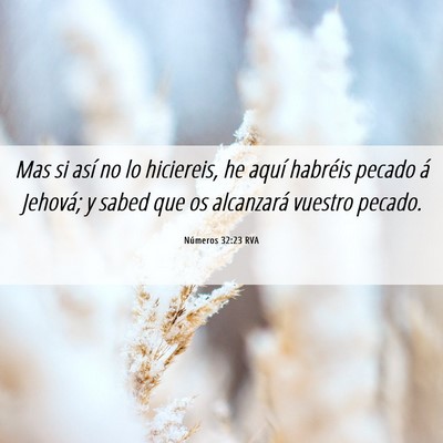 Picture 06 - Números 32:23 RVA - Mas si así no lo hiciereis, he aquí habréis - Bible Verse Picture