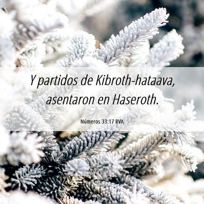 Picture 06 - Números 33:17 RVA - Y partidos de Kibroth-hataava, asentaron en - Bible Verse Picture