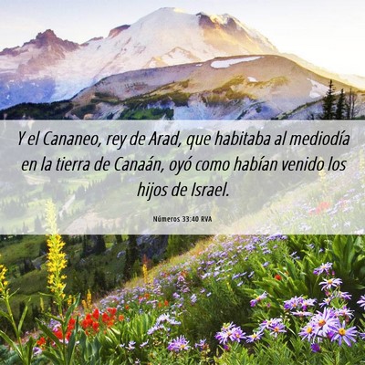 Picture 06 - Números 33:40 RVA - Y el Cananeo, rey de Arad, que habitaba al - Bible Verse Picture