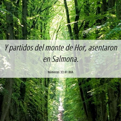 Picture 06 - Números 33:41 RVA - Y partidos del monte de Hor, asentaron en - Bible Verse Picture